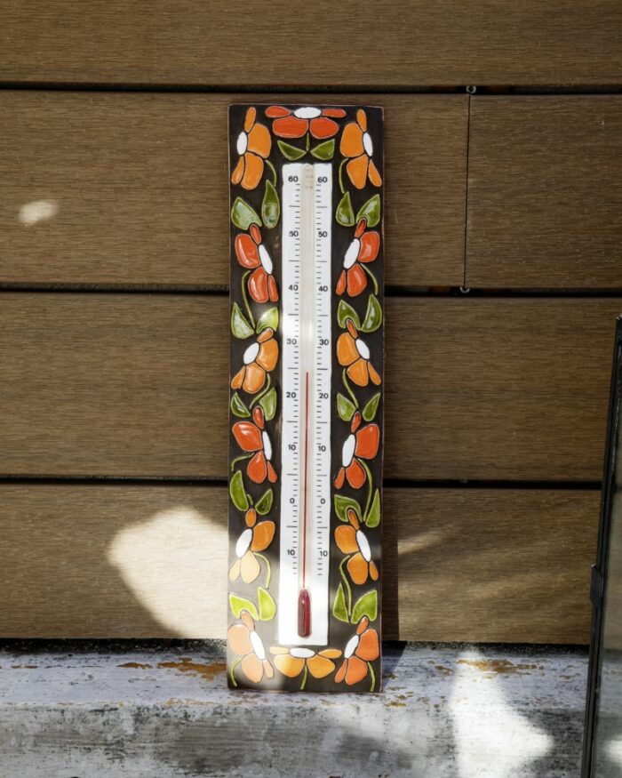 Thermomètre Mithé Espelt
